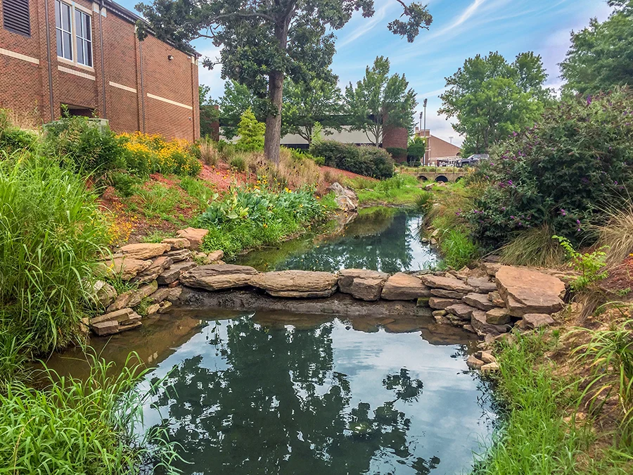 Natural drainage channel